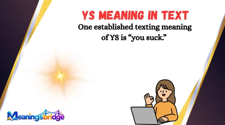 YS Meaning in Text