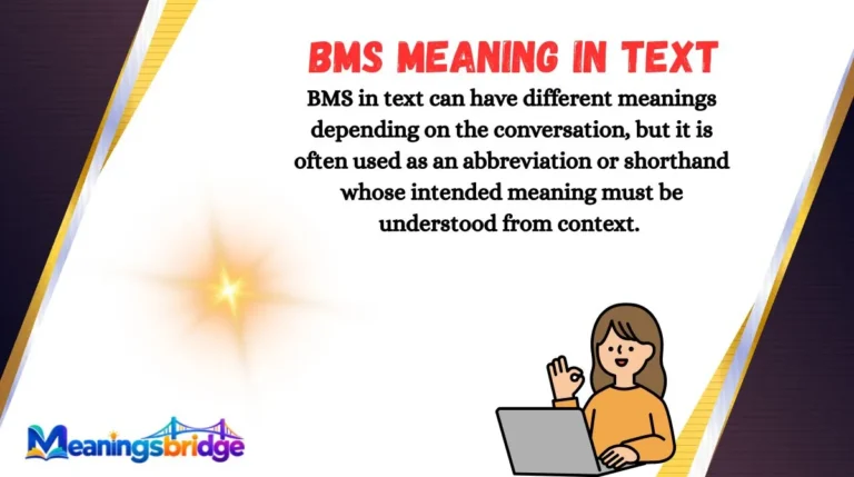 BMS Meaning in Text