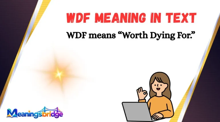 WDF Meaning in Text