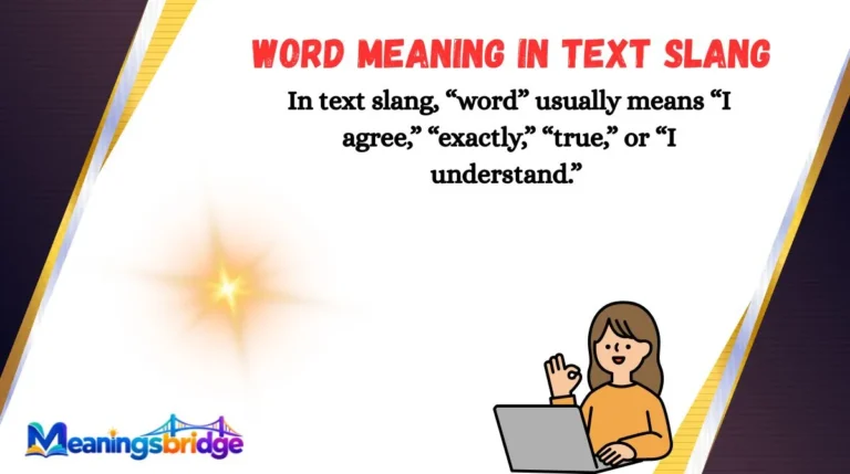 Word Meaning in Text Slang