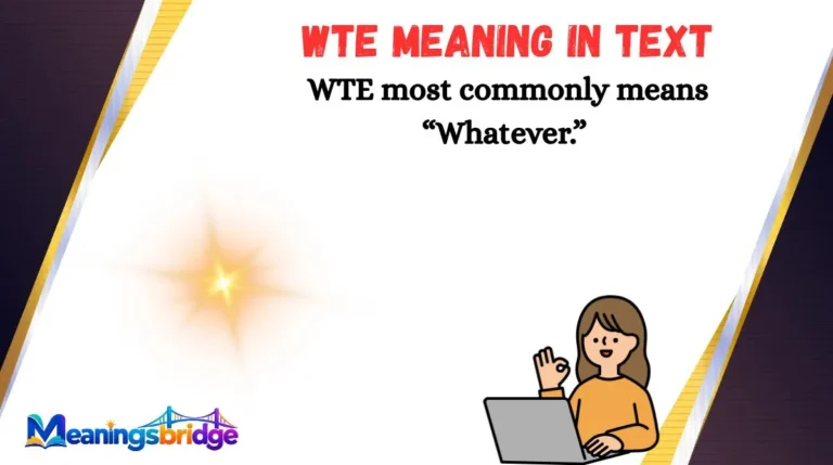WTE Meaning in Text