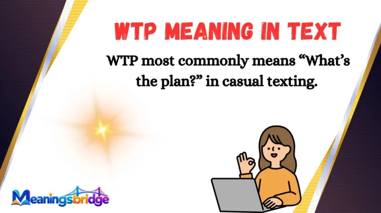 WTP Meaning in Text