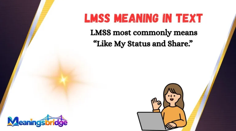LMSS Meaning in Text