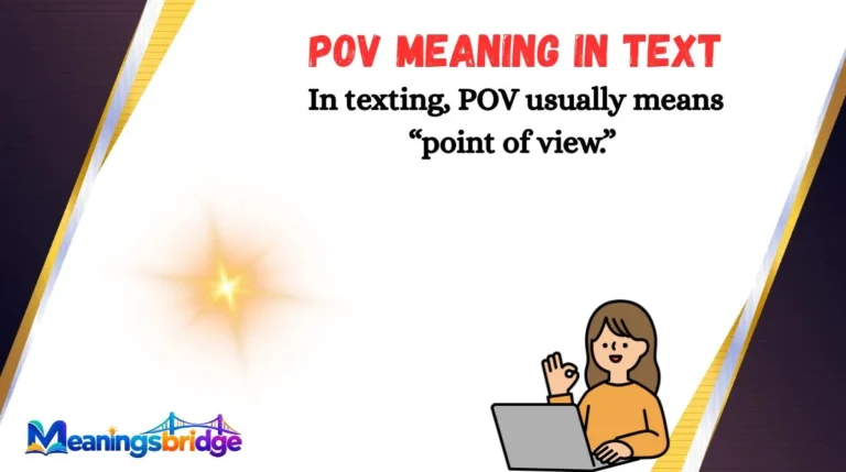 POV Meaning in Text